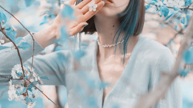 萌宠治愈系：猫咪日常